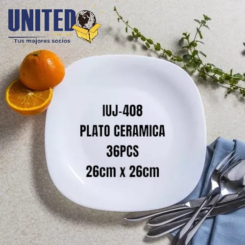 [IUJ-408] PLATO CERAMICO 10.5" SEMICUADRADO